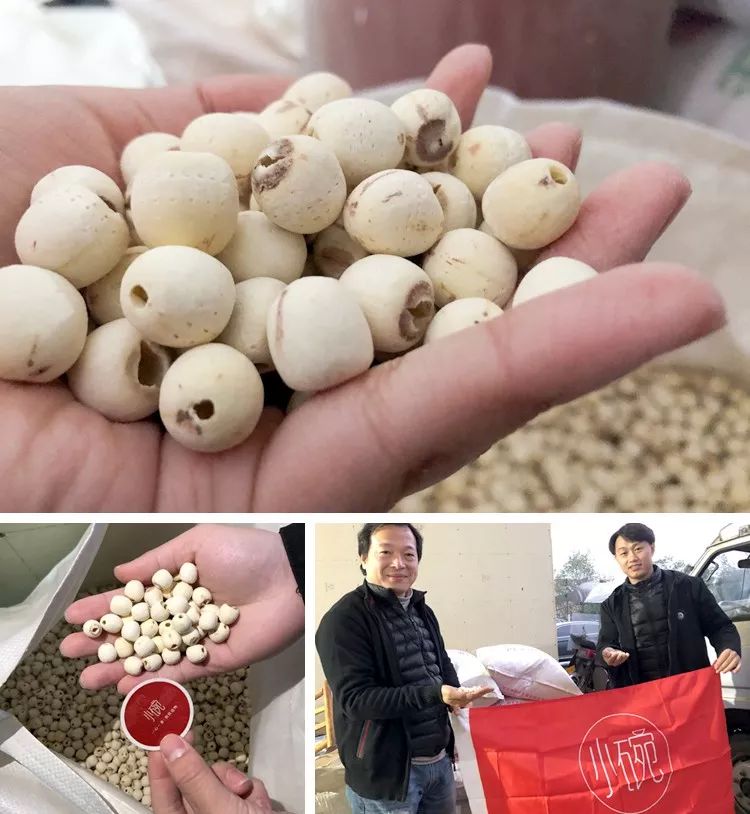 蓮子產(chǎn)地,蓮子產(chǎn)地哪里最好