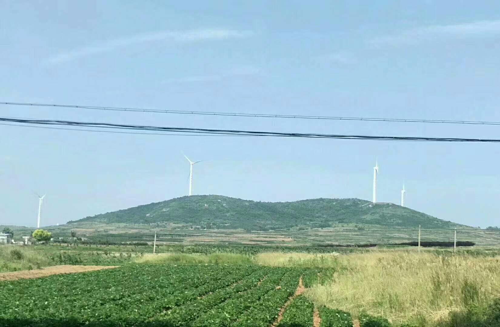 水库转让（山东青岛平度市800亩山林地转让）