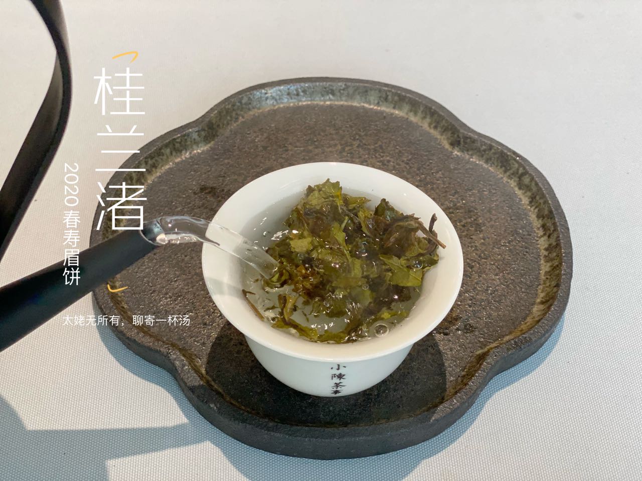 撬白茶饼的错误方法，老虎钳我忍了，微波炉加热是什么操作？