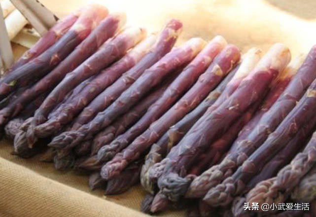 紫竹笋可食用吗（揭秘产自于美国的紫芦笋的营养价值）
