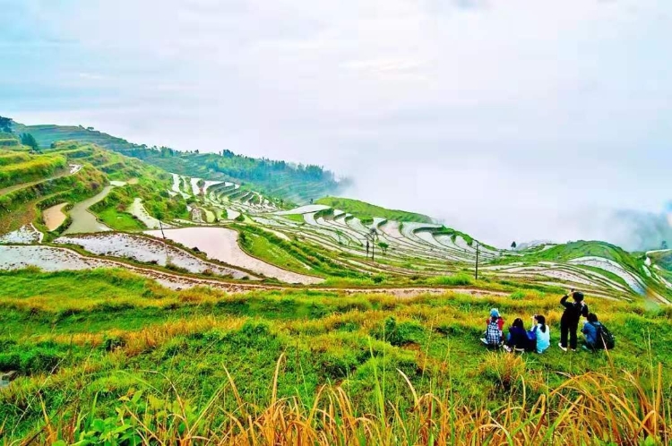 温州必游目的地 | 楠溪江，悠悠三百里谱出动人的山水田园