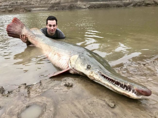 谁放的？泉州景区小湖出现大型肉食鱼，游客：至少一米长、几十斤