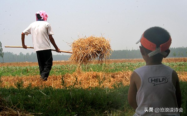 人间辛苦是三农，作为农民的儿子，我被南宋王炎的这首短词感动了