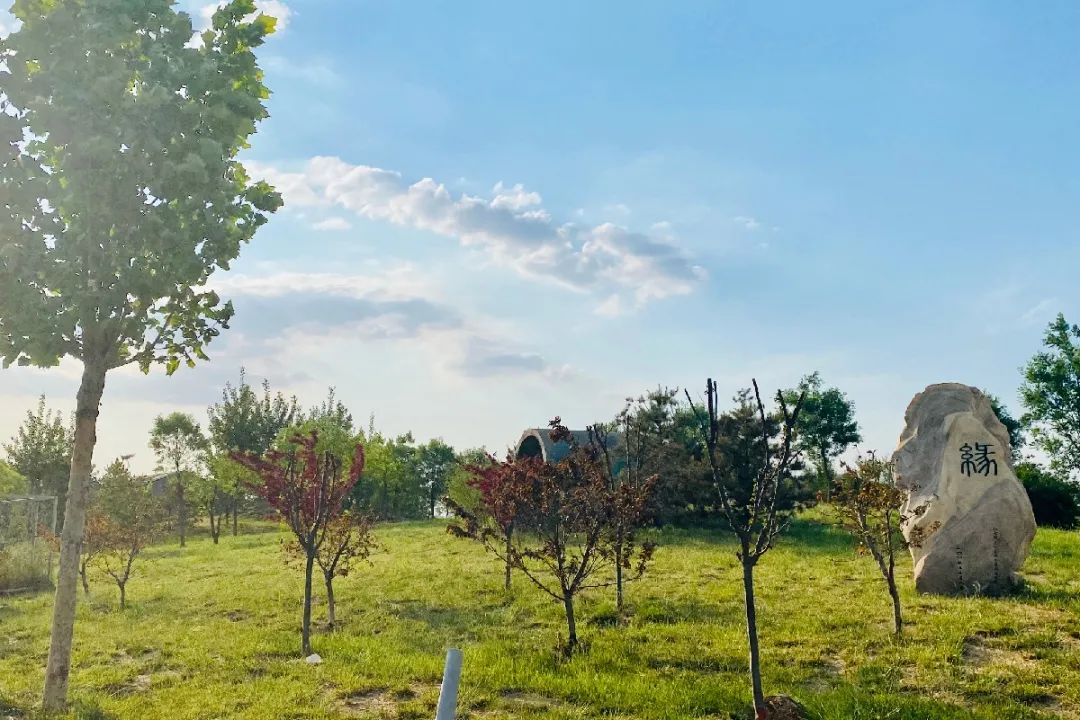 这所警校入警率、就业率创新高