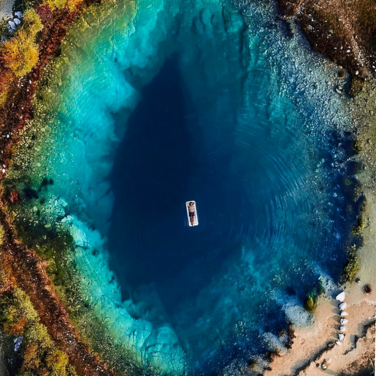 密集恐惧症图片 怎么克服密集恐惧-徐拾记官网