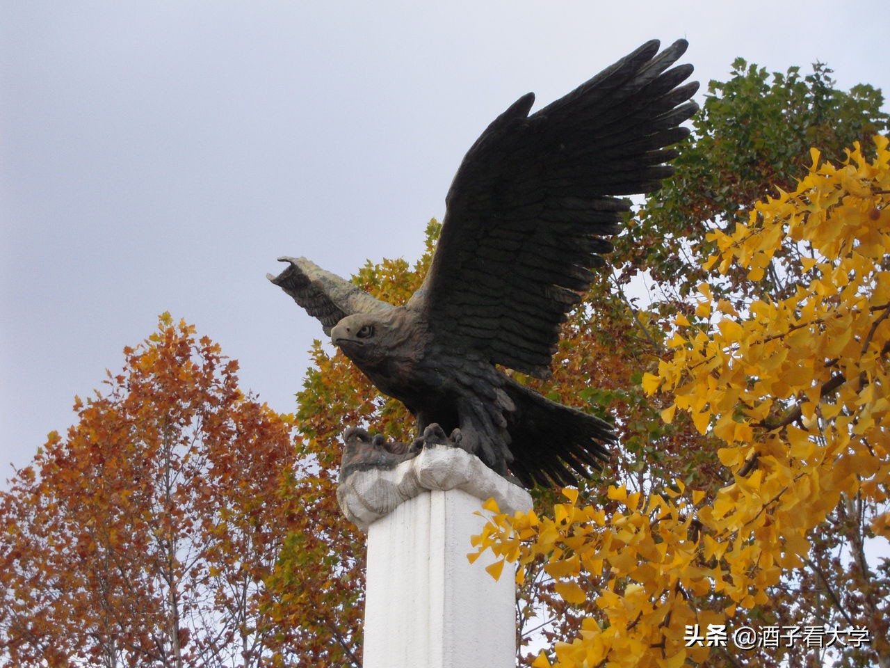 培养人才的韩国知名大学，韩国历史最为悠久的大学之一