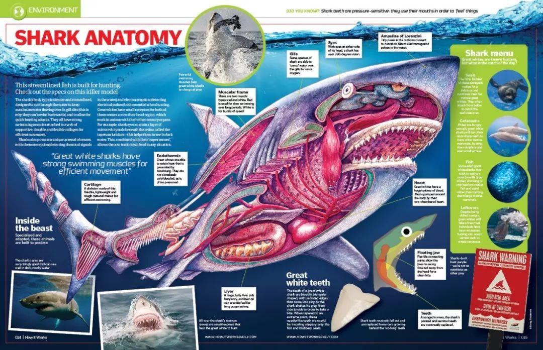 中国的三大黑科技：液态金属有生命、沙漠加水变良田、蚊子在绝育