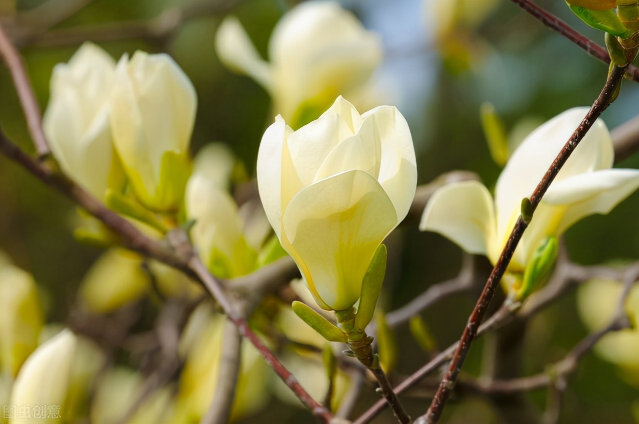 复旦大学上海医学院分数线（2021复旦大学录取分数）