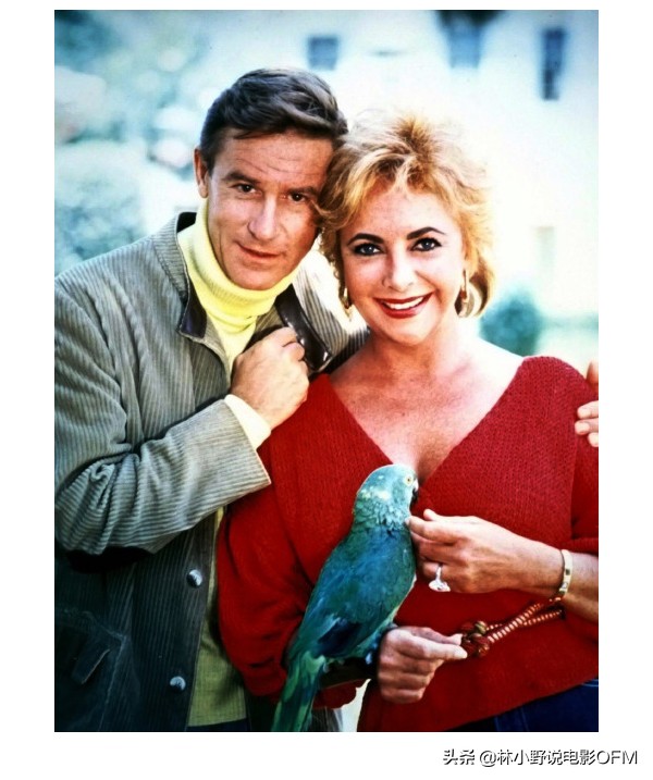 《阳光下的罪恶》女主角是邦女郎，男配是“查泰莱夫人的情人”