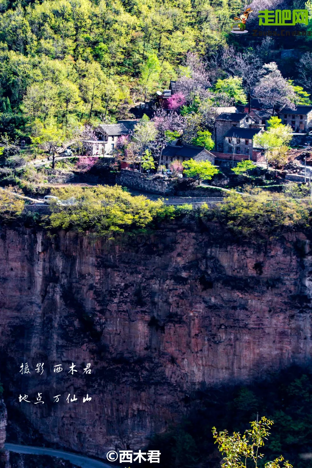 河南全省433家A级景区，免门票！中原大地的壮观美景，绝了