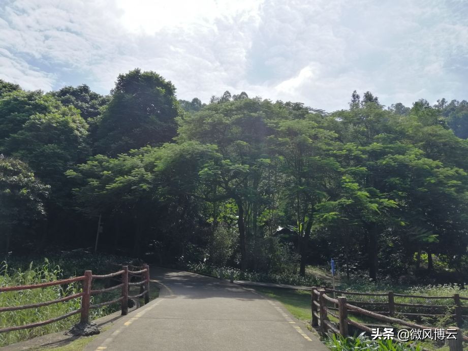 深圳凤凰山攻略深圳凤凰山景点介绍