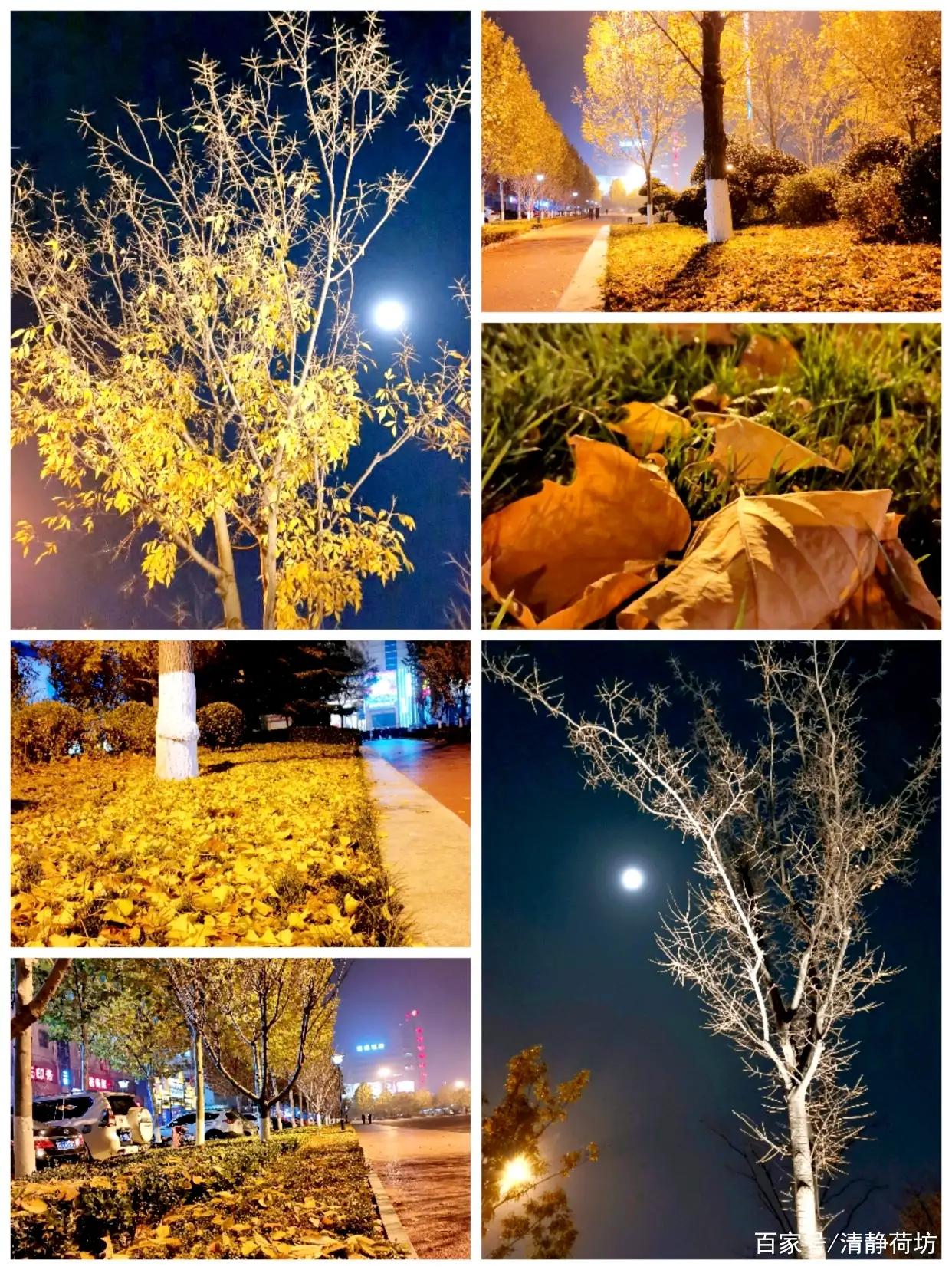 秋去冬来，烟火人间诗意向远——心暖，可抵千年寒