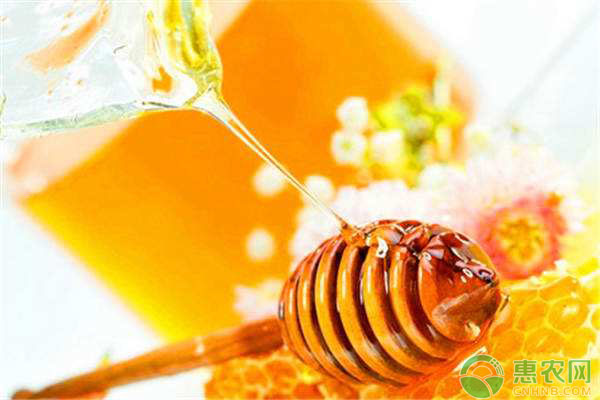 目前蜂蜜多少钱一斤？蜂蜜价格为什么有高有低？