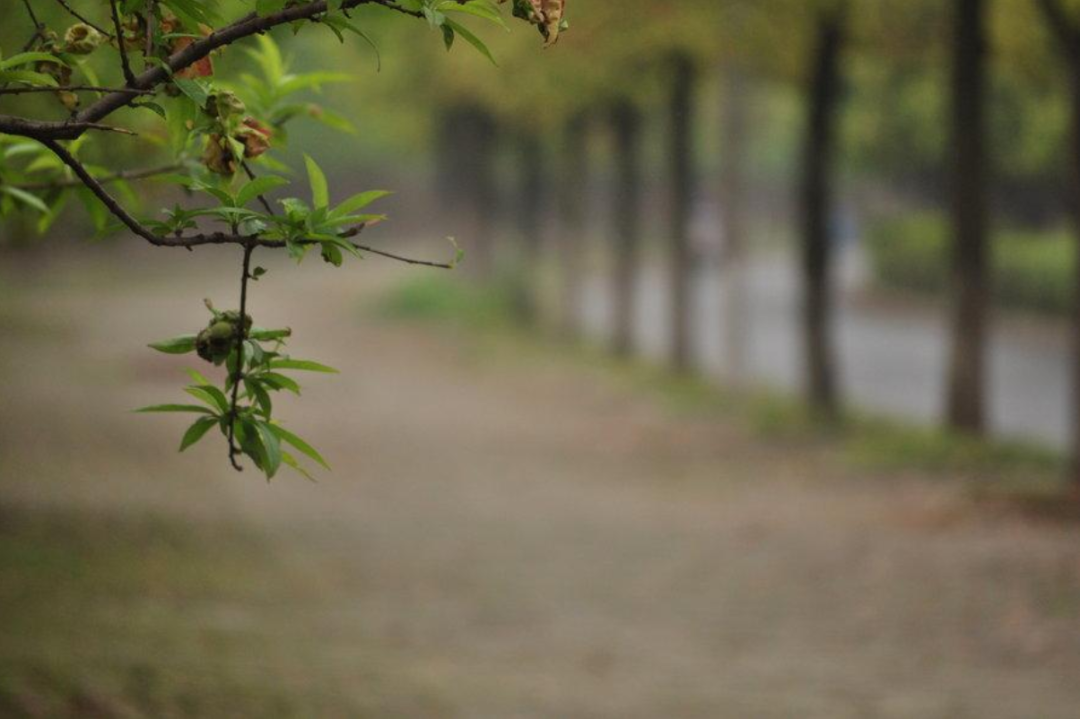 残日送年能几许 一番风雨岁将阑，古诗词里的岁杪，感叹岁月流逝