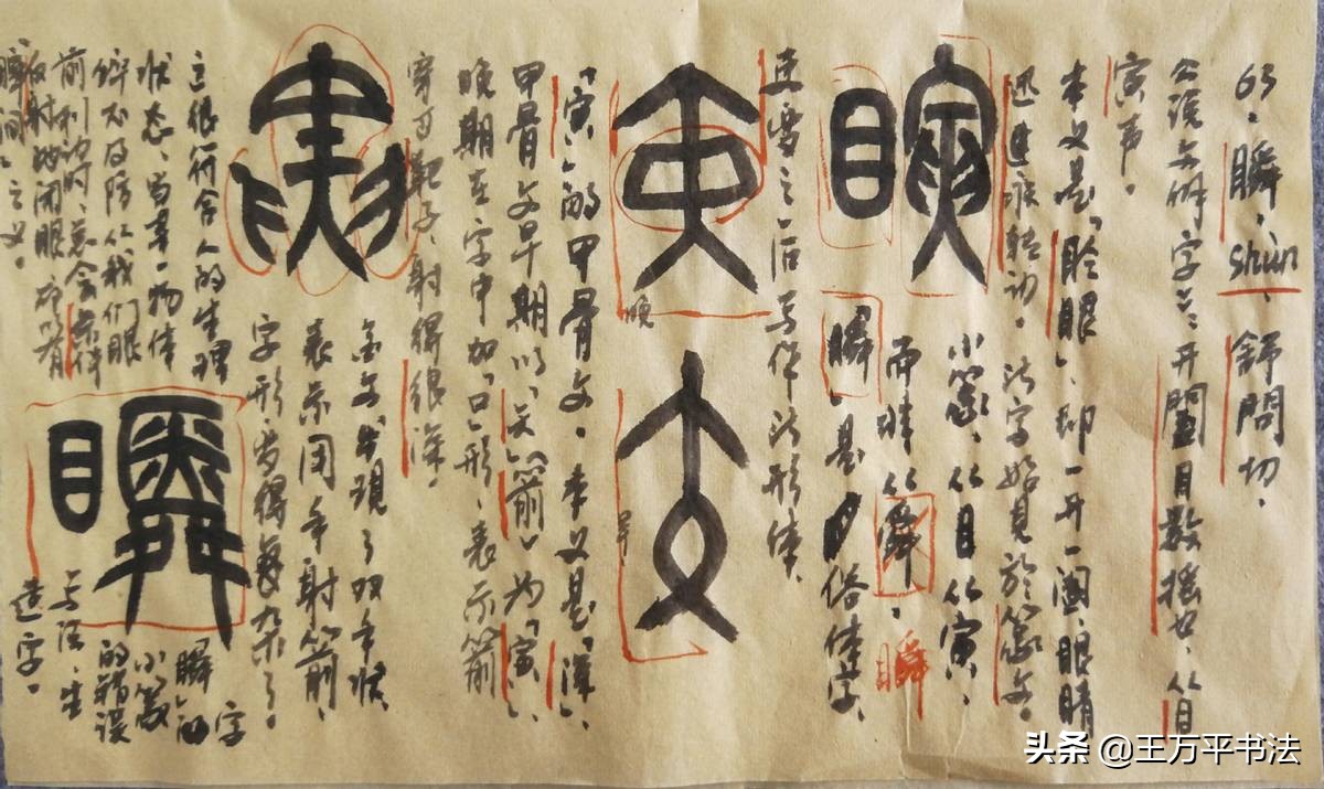 篆字识读21：看、眠、瞬：眠字民冥要分清，舜与寅天差地别