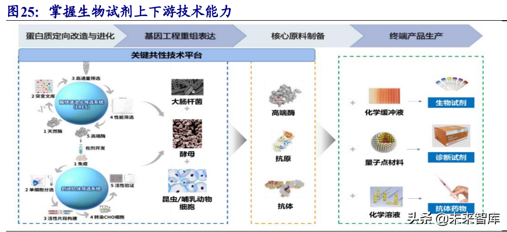 生物科研试剂行业研究：国内市场快速增长，行业百花齐放