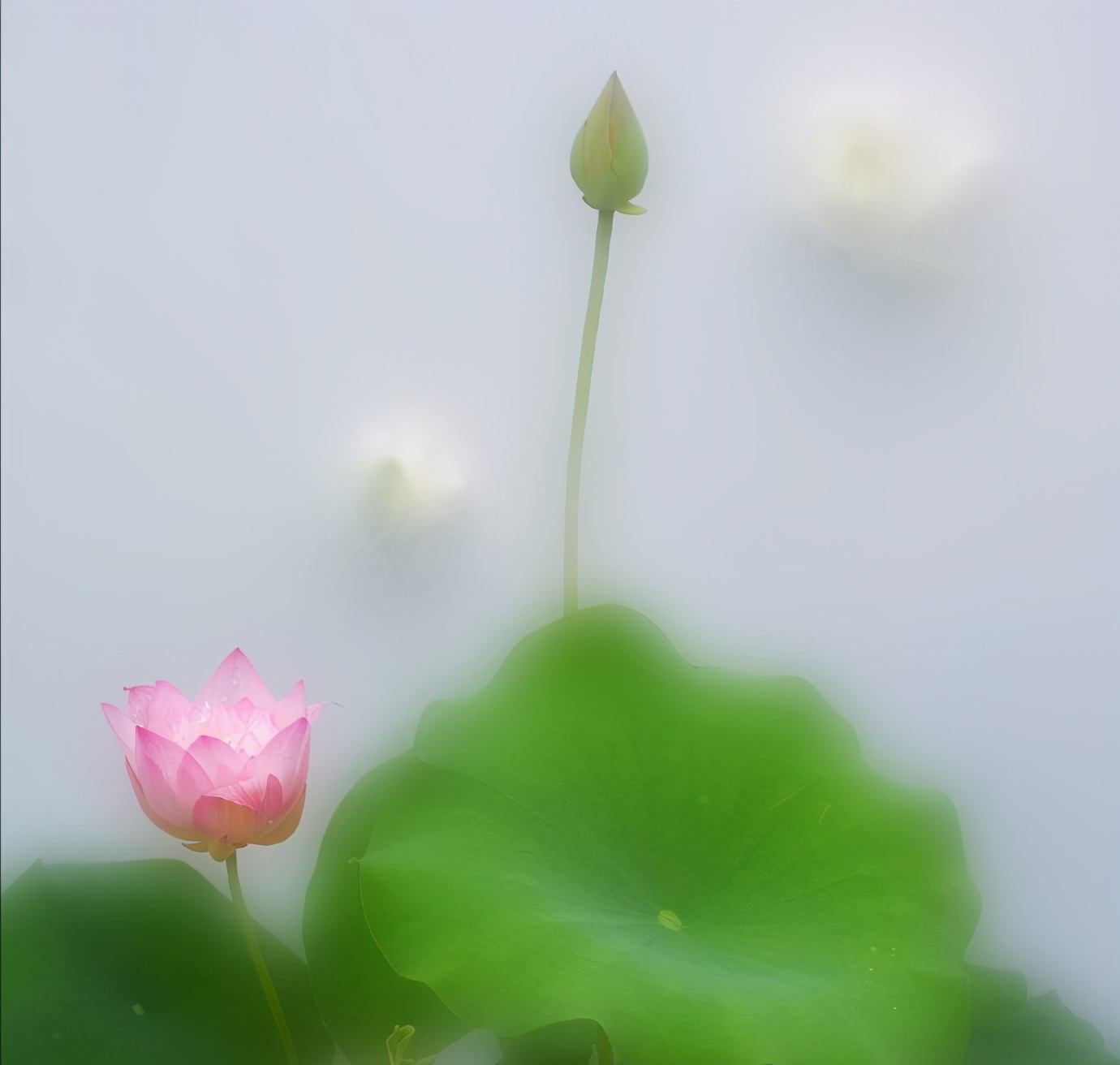 忍一时风平浪静，退一步未必海阔天空