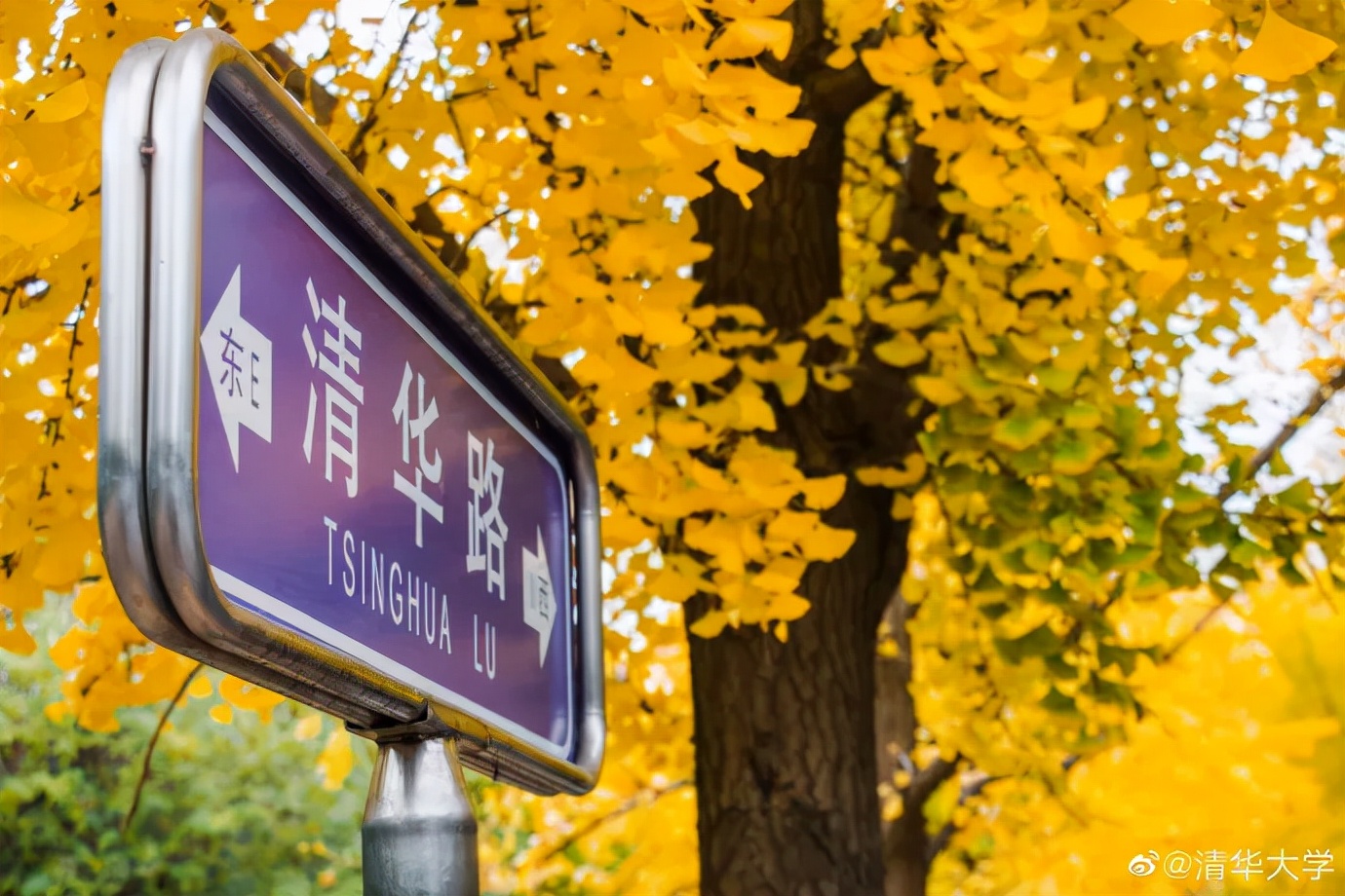 震撼！全国高校最美秋景大PK，哪所高校最最最惊艳？