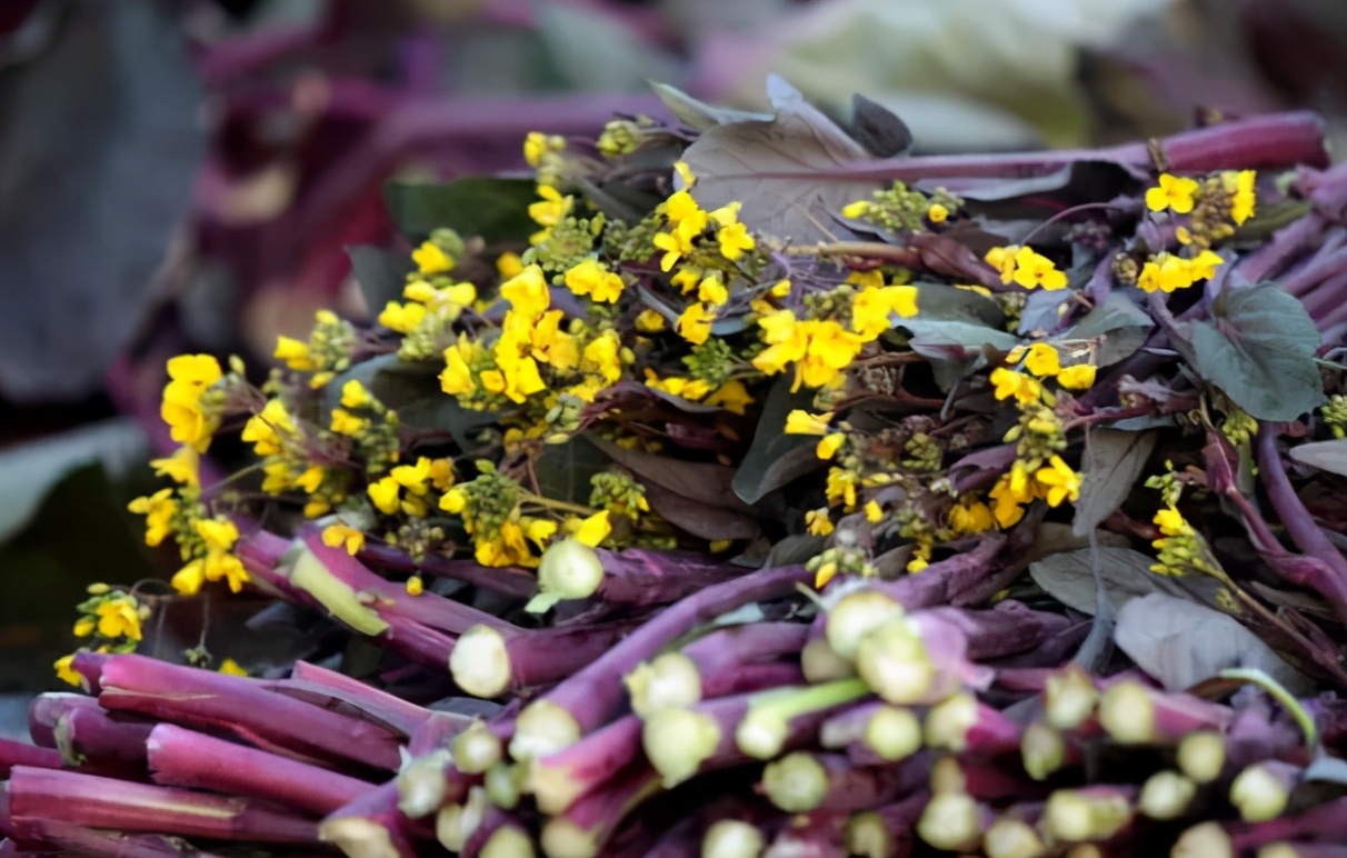 学员福利 | 五一带点武汉特产回家吧