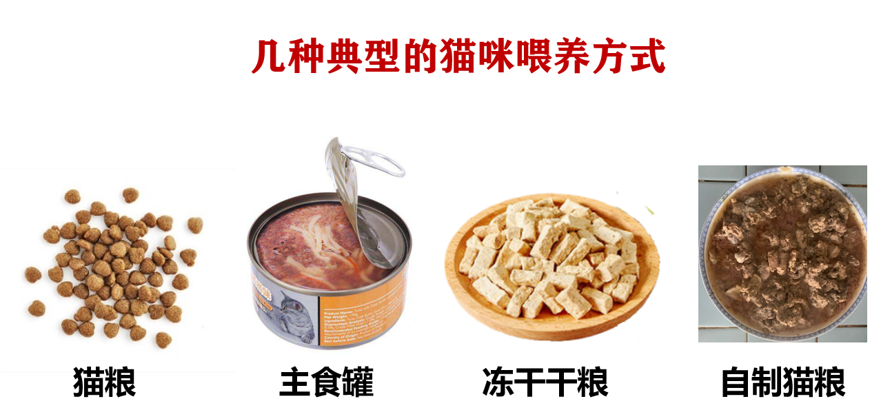 è(guan)ͷèͷȫ-(yu)Ѷ