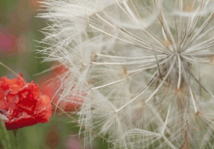 “和睦相处”这四个字到底有几成意思，是好还是坏呢？