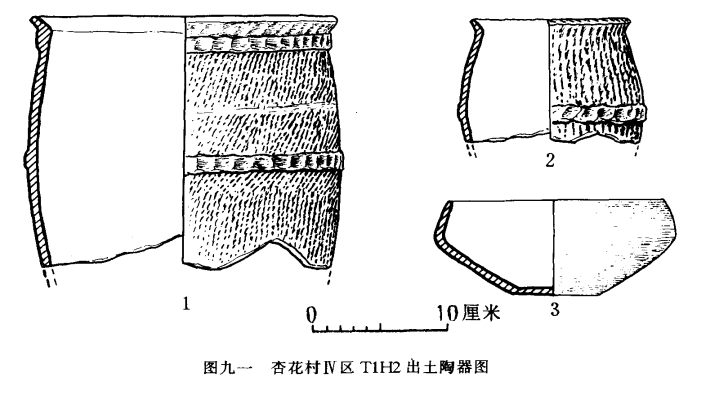 山西省汾阳市杏花村发现仰韶文化遗址