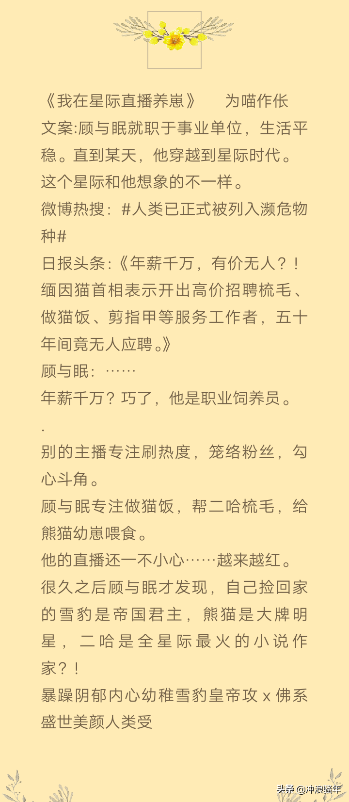 「纯爱」《一级律师》：公理之下，正义不朽