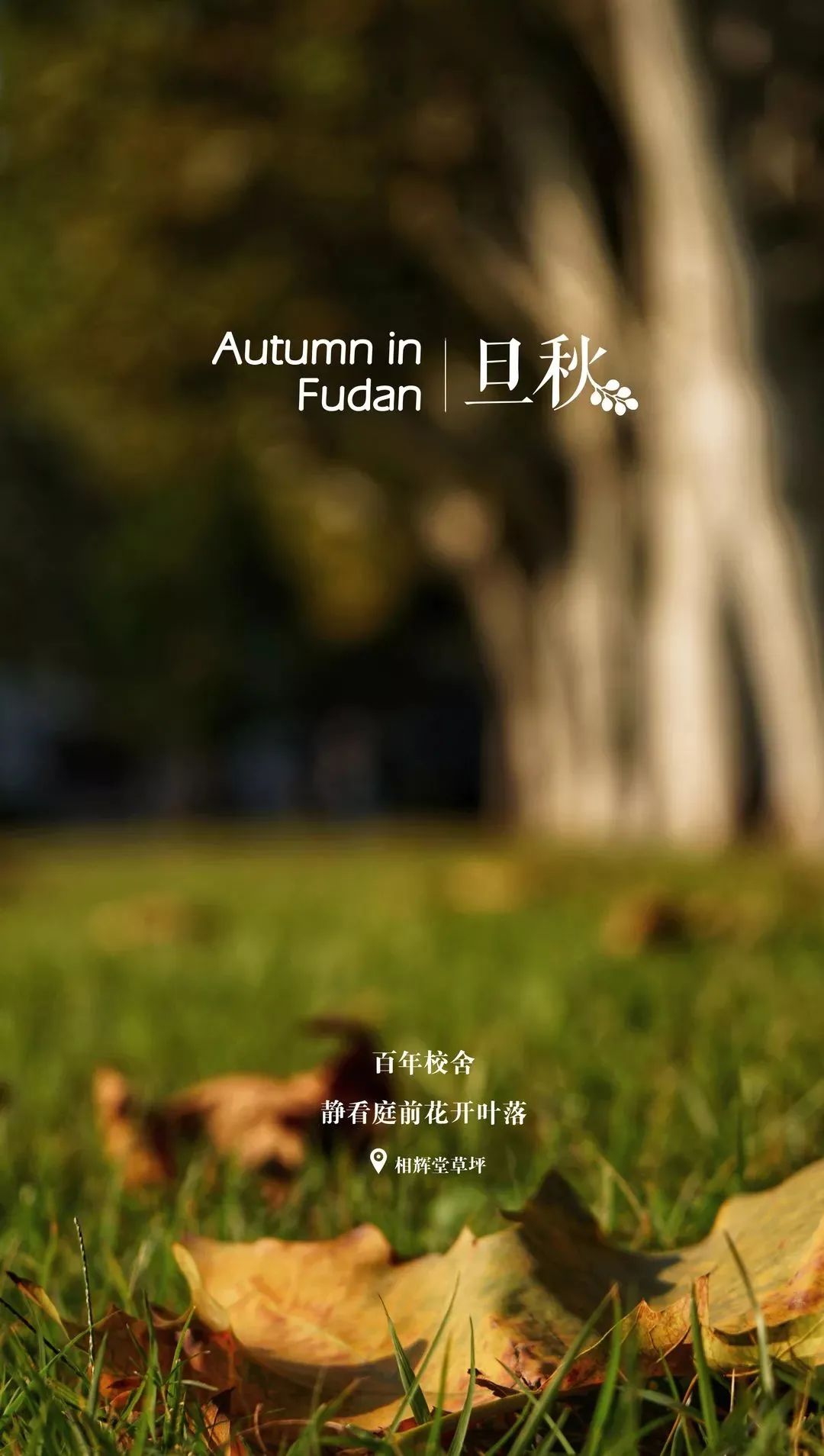 你的理想大学，终于被做成了手机壁纸