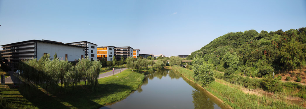 中国美术学院2021年录取分数线近2天即将公布，录取线会提高吗？