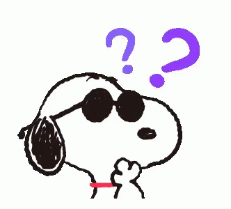b2签证,