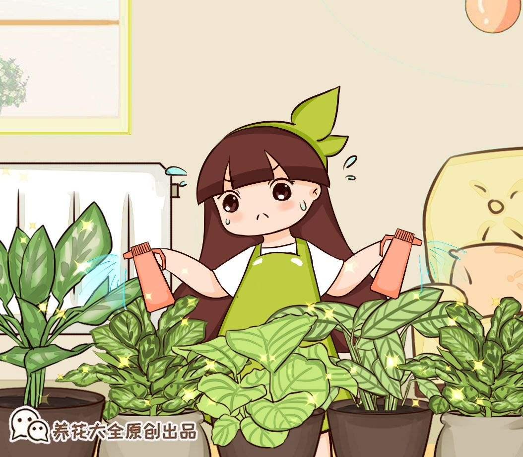 20种常见植物浇水方法,一句话说到重点,建议收藏