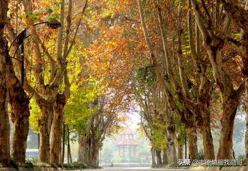 2020年师范类大学“火”了！“猛涨”了？考生：我该怎么办？