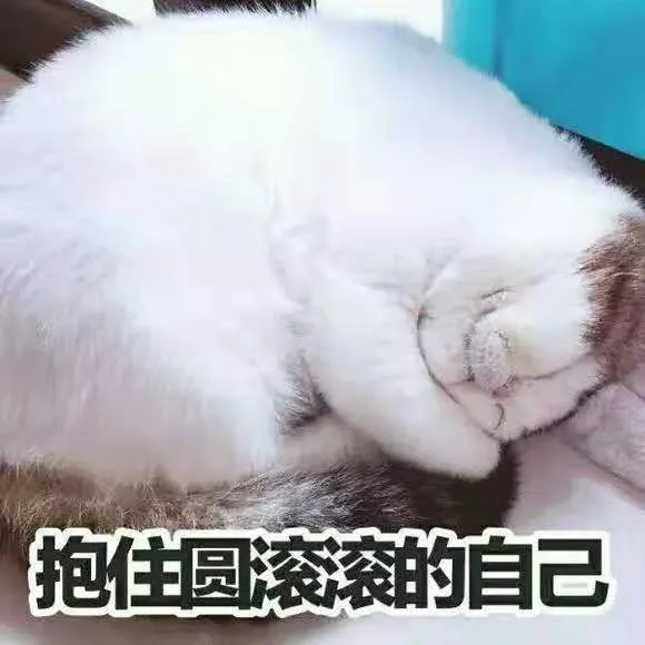 知识贴：猫咪应激反应有什么症状，该怎么应对和预防？