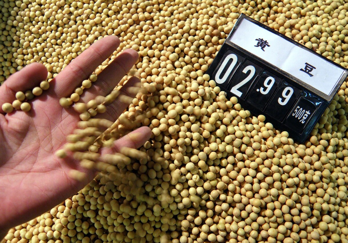 大豆逼近3元一斤，10月下旬价格走势如何？农民何时售出最划算？