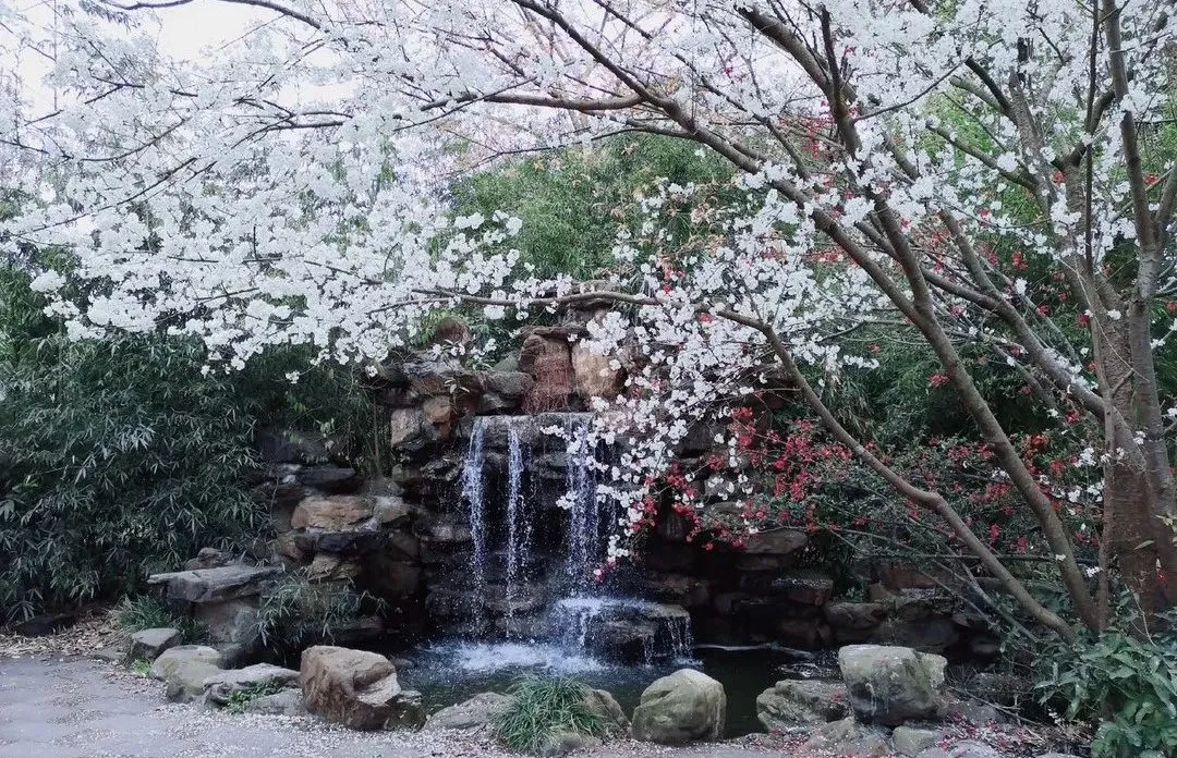 德阳这个学校真牛，虽是专科大学，却有4个专业在川本科批次招生