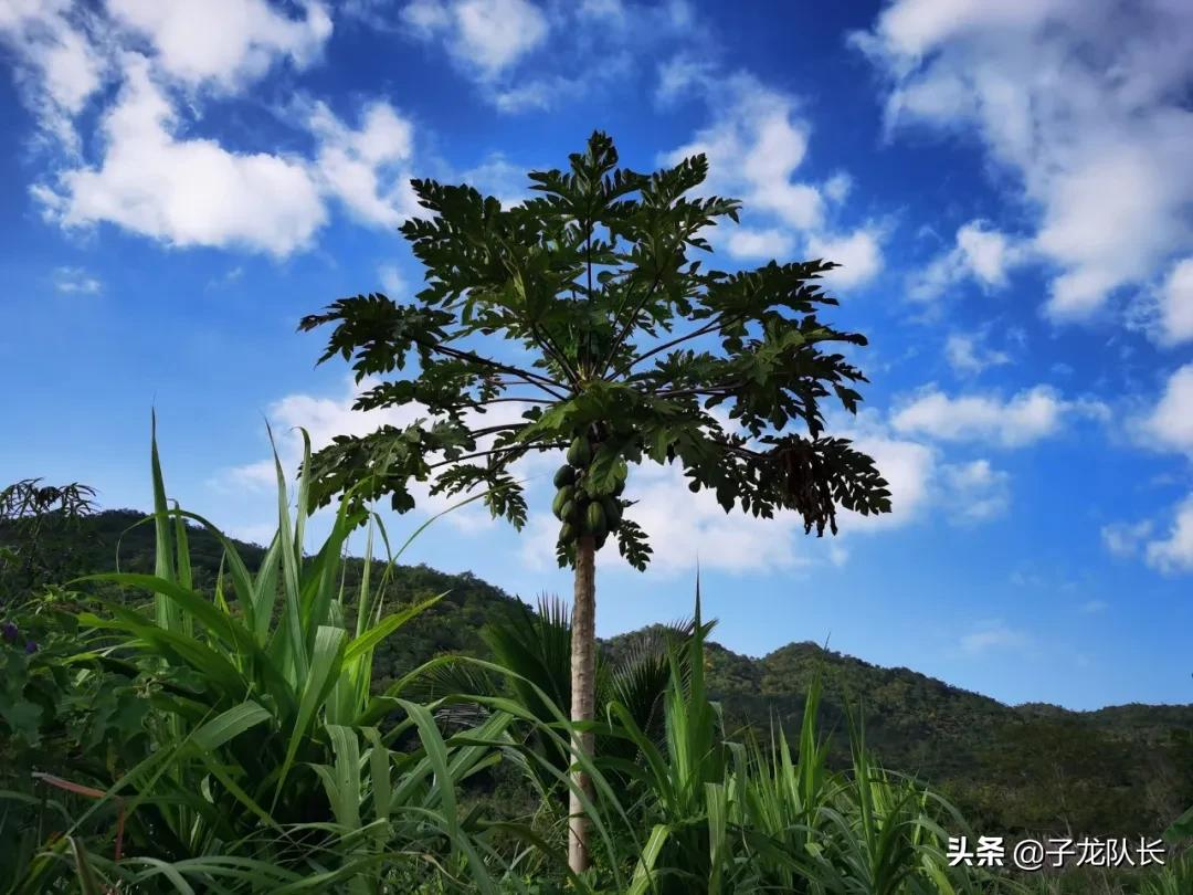 济南出发，海南环岛自驾，阳光海滩里悠然慢旅行，推荐一去