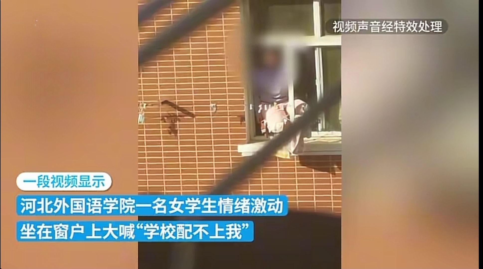 “我要去上海外国语大学，你们这配不上我”？光说没用得做才行