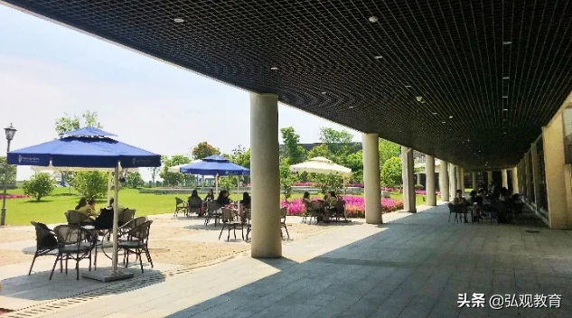 57名毕业生拿到世界名校250＋录取通知书！威雅公学长什么样？