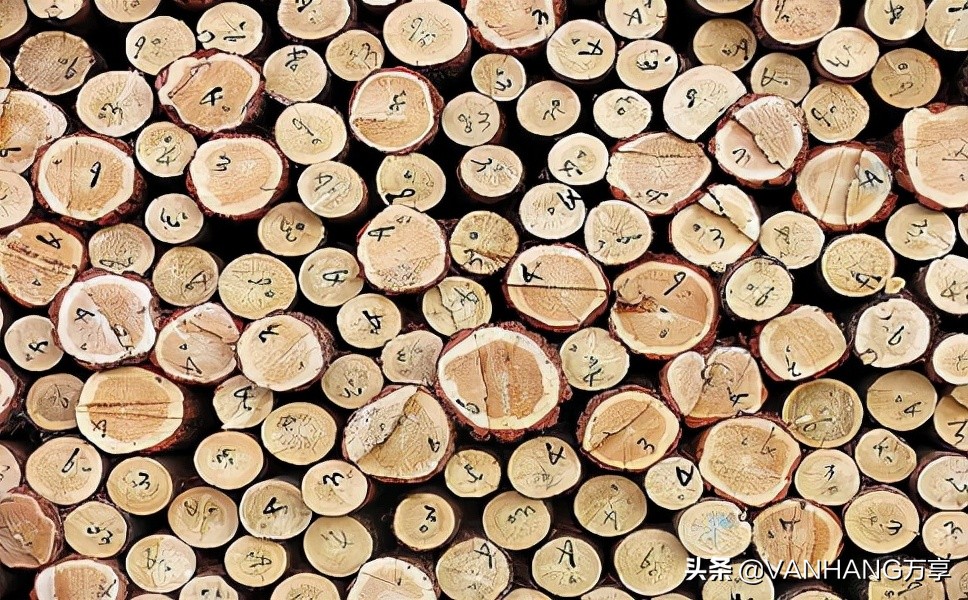 木材进口关税（木材进口关税是多少）