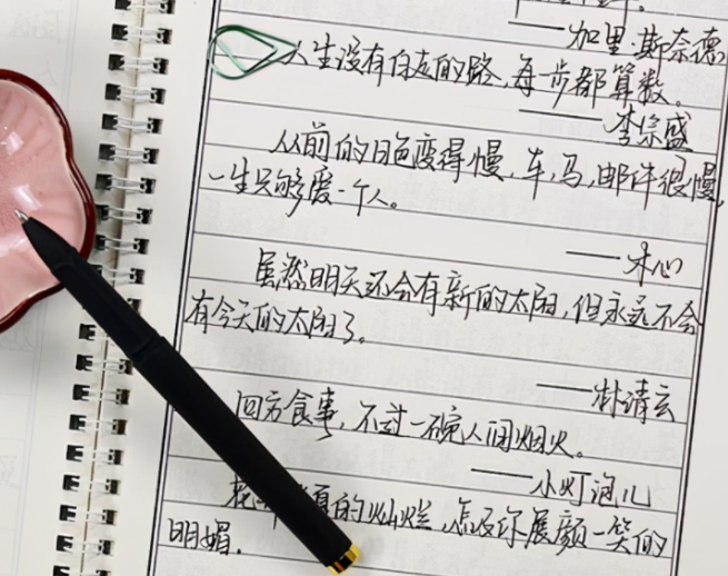 高考阅卷中的“瘦金字体”，洒脱飘逸叫人惊艳，老师看后不忍扣分