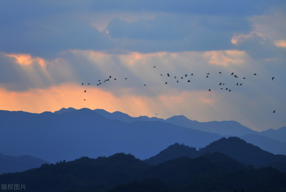 预备党员培训心得（培训心得）