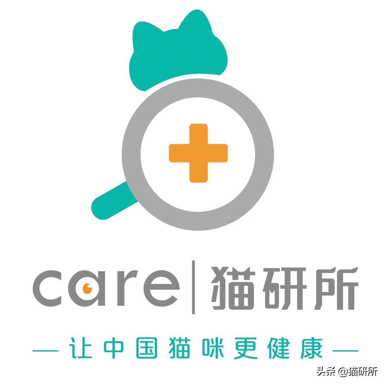 为什么有的猫不爱喵喵叫？是哑猫吗？