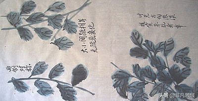 中国画写意花鸟画入门大全