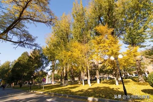中国农业大学，中国农业大学（烟台）2020年录取分数线探讨