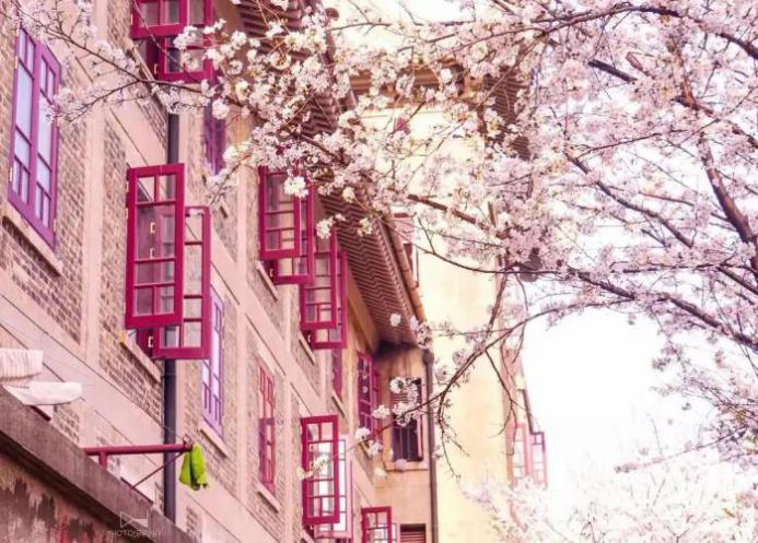 来最美大学，接受最好教育，成就最美人生！志愿填报选择武汉大学，就现在！