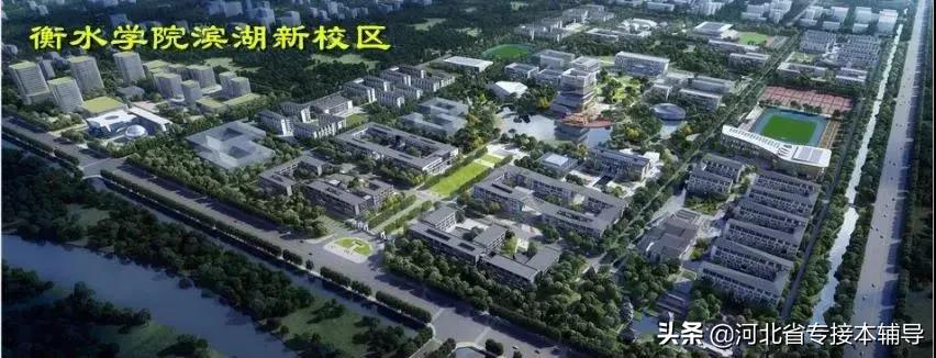 衡水学院：相比上一年招生减少1/3的名额