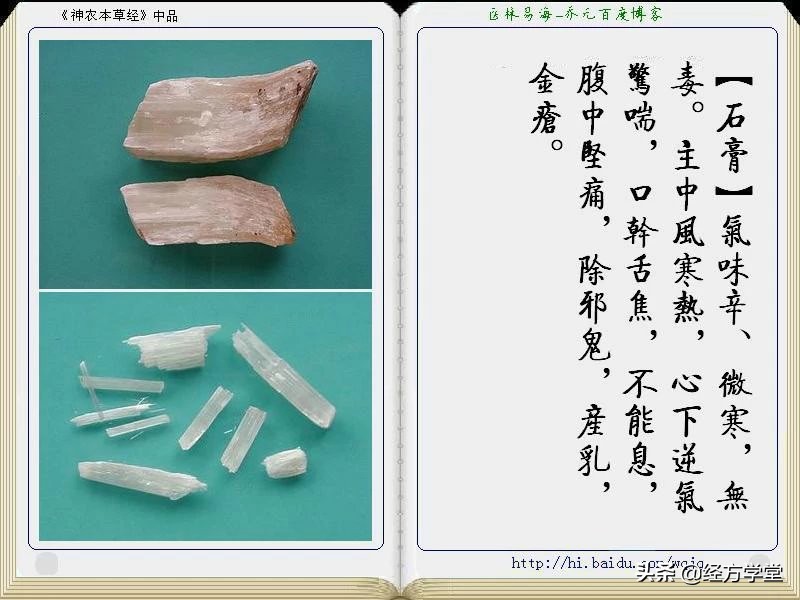 《神农本草经》全册图文解析 建议收藏