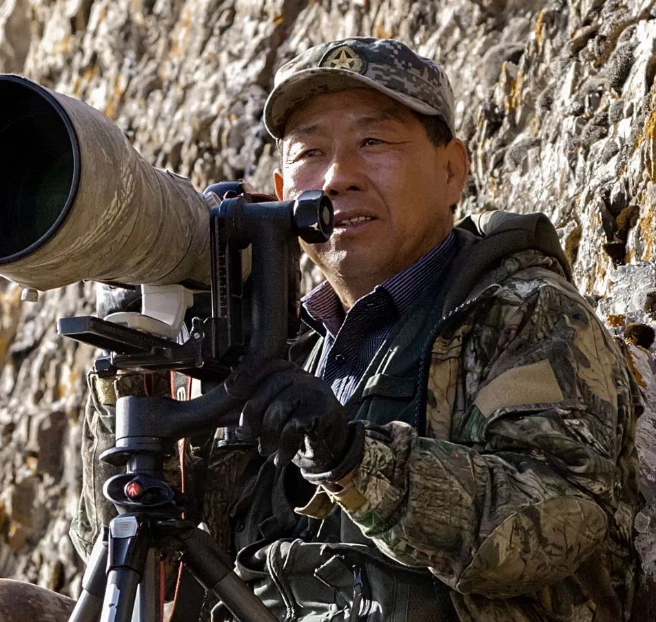 这是我狼哪位摄影大师(中国野生生物摄影年赛：用照片让野生动物过上向往的生活)