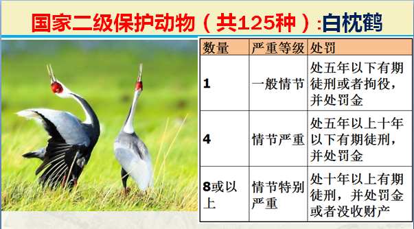 国家保护动物分几个等级（125类二级野生保护名录）