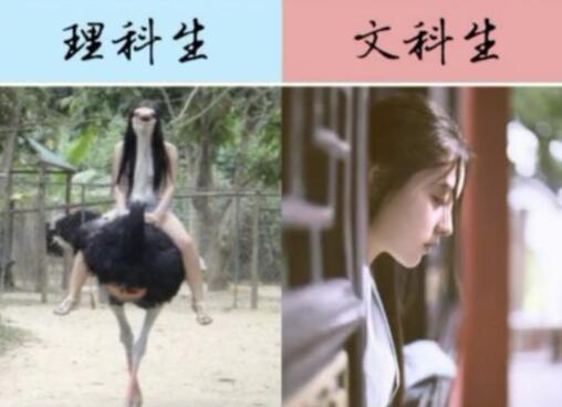 文科生VS理科生，大学毕业后才发现，差别不是一星半点